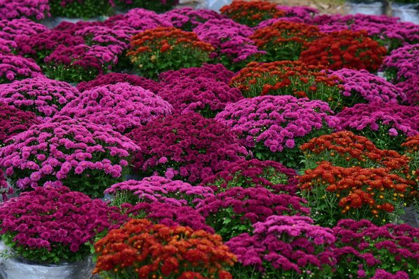 Top lampadaire styles and options to enhance your salon décor